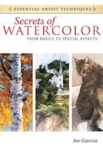 Secrets of Watercolor - From Basics to Special Effects