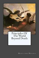 Principles of the World Beyond Death