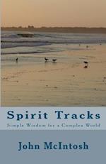 Spirit Tracks