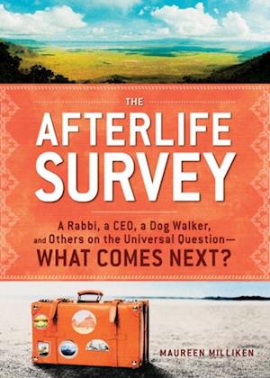 Afterlife Survey