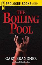 Boiling Pool