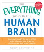 Everything Guide to the Human Brain