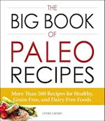 Big Book of Paleo Recipes