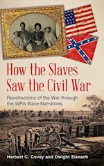 How the Slaves Saw the Civil War