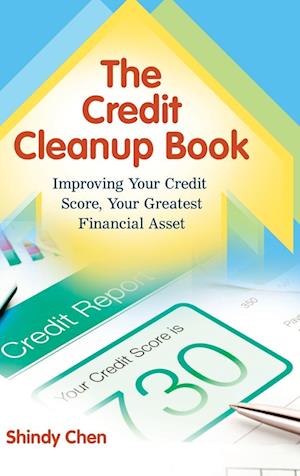 The Credit Cleanup Book