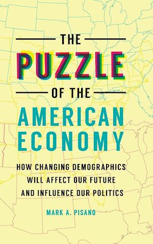 The Puzzle of the American Economy