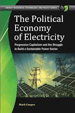 Political Economy of Electricity