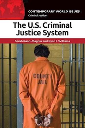 The US Criminal Justice System