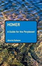 Homer: A Guide for the Perplexed