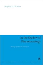 In the Shadow of Phenomenology