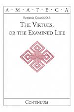 Virtues, or The Examined Life