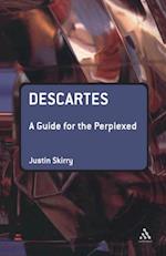 Descartes: A Guide for the Perplexed