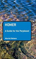 Homer: A Guide for the Perplexed