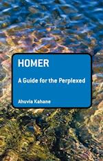 Homer: A Guide for the Perplexed