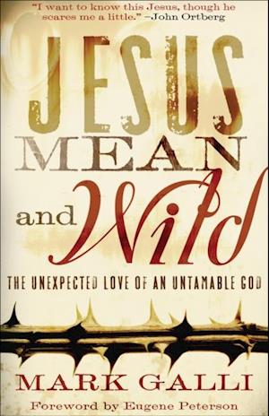 Jesus Mean and Wild