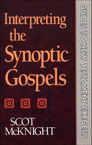 Interpreting the Synoptic Gospels (Guides to New Testament Exegesis)