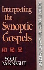 Interpreting the Synoptic Gospels (Guides to New Testament Exegesis)