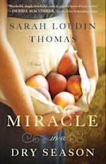 Miracle in a Dry Season (Appalachian Blessings Book #1)