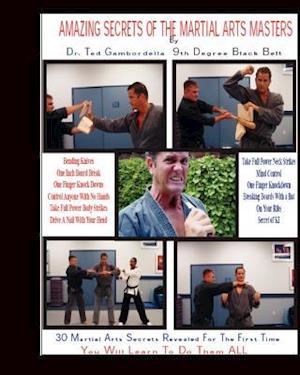 Amazing Secrets of the Martial Arts Masters