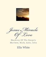 Jesus Miracle of Love