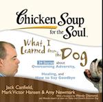 Chicken Soup for the Soul: What I Learned from the Dog - 34 Stories about Overcoming Adversity, Healing, and How to Say Goodbye