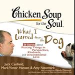 Chicken Soup for the Soul: What I Learned from the Dog - 36 Stories about Putting Things in Perspective, Kindness, and Unconditional Love