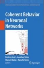 Coherent Behavior in Neuronal Networks