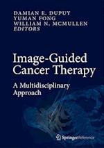 Image-Guided Cancer Therapy