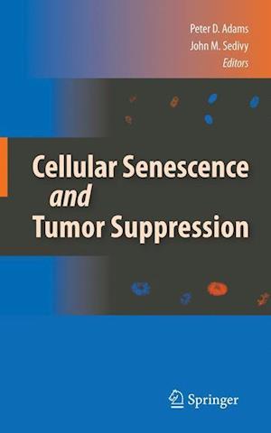 Cellular Senescence and Tumor Suppression