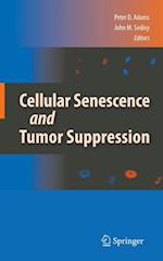 Cellular Senescence and Tumor Suppression