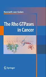 The Rho GTPases in Cancer
