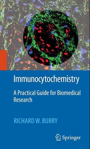 Immunocytochemistry