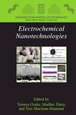 Electrochemical Nanotechnologies
