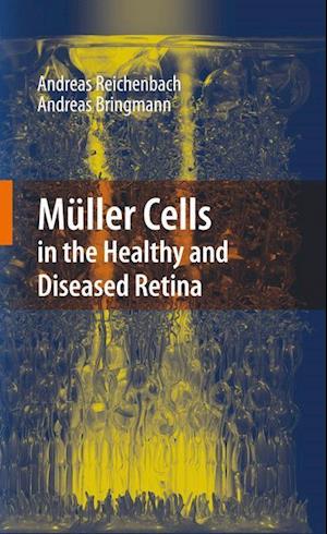 Muller Cells in the Healthy and Diseased Retina