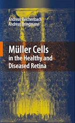 Muller Cells in the Healthy and Diseased Retina
