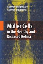 Muller Cells in the Healthy and Diseased Retina