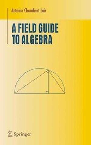 A Field Guide to Algebra