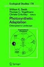 Photosynthetic Adaptation