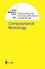 Computational Homology