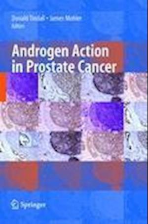 Androgen Action in Prostate Cancer