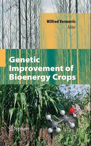 Genetic Improvement of Bioenergy Crops