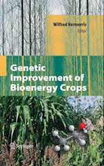 Genetic Improvement of Bioenergy Crops