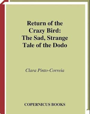 Return of the Crazy Bird