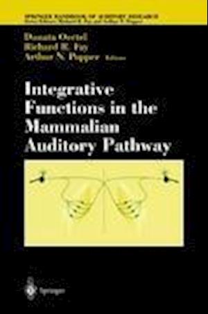 Integrative Functions in the Mammalian Auditory Pathway