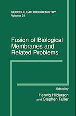 Fusion of Biological Membranes and Related Problems