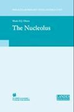 The Nucleolus