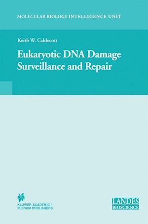 Eukaryotic DNA Damage Surveillance and Repair