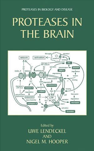 Proteases in the Brain