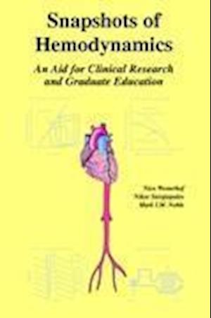 Snapshots of Hemodynamics