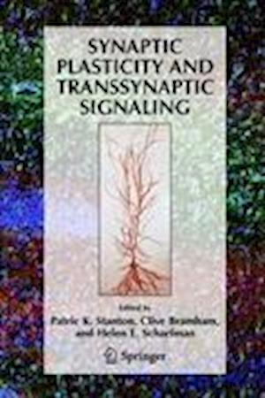 Synaptic Plasticity and Transsynaptic Signaling